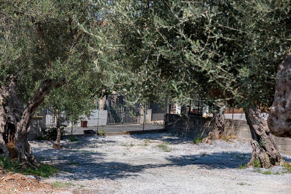 B&B Il Feudo Cirella Dış mekan fotoğraf